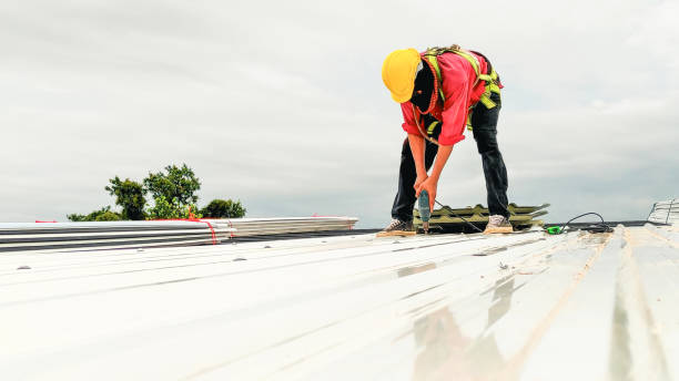 Best Gutter Replacement  in Fountain, CO