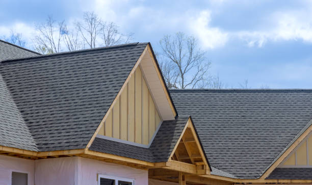 Best Steel Roofing  in Fountain, CO